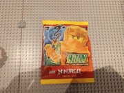 LEGO Ninjago ARIN 