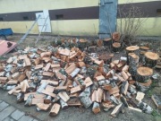 Drzewo opałowe do kominka gatunek Brzoza