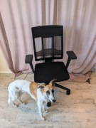 Fotel biurowy czarny, ergonomiczny