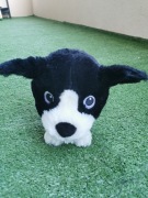 Piesek Piotruś Gang Fajniaków maskotka Biedronka