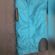 Descente, spodnie narciarskie, rozm L