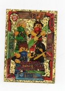 Karta Lego Ninjago Drużyna Turniejowa 2016r.