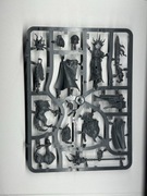 Warhammer Age of Sigmar Stormcast Eternals Lord-Veritant wypraski