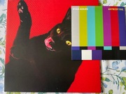 Ryan Adams - Big Colours