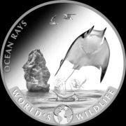World's Wildlife Ocean Rays 1oz uncja-srebrna moneta 