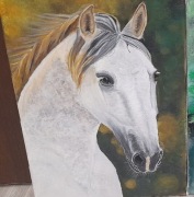 Koń na płótnie 30x40 cm