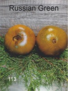 113-Russian Green. Pomidory kolekcjonerskie.