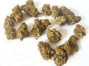 LEMON HAZE CBD 500G Susz Konopny Topy PREMIUM TOP Jakość Naturalny