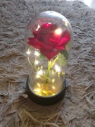 Wieczna róża czerwona