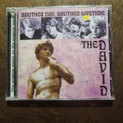 THE DAVID Another Day,Another Lifetime US 67 CD unoff psych pop garage rock