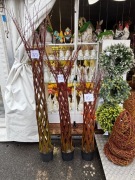 Wierzba pleciona 1,1 m