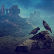 Seria Ptaki - Szpaki - grafika 40x40cm