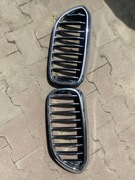 BMW 5 G30 G31 GRILL Atrapa nerki 7383520 7383519