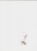 Aland - Ptaki z przywieszką i pustopolem, do tematu Europa,czysty