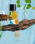 PARIS CORNER AUTOBIOGRAPHY CITRON VANILLE PERFUMETKA 5 ML 