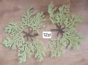 Gałązki dekoracyjne zielone do stroików kompozycji florystycznych zestaw