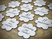 Tabliczki dekoracyjne do zdjęć pamiątkowych kwiatki miesiące pierwszy rok