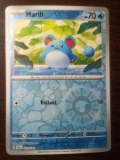 REVERSE HOLO Marill 033/142 Karta POKEMON TCG S&V Stellar Crown