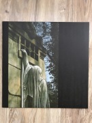DEAD CAN DANCE - WITHIN THE REALMS OF A DYING SUN LP