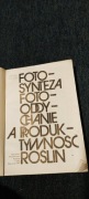 Fotosynteza fotooddychanie a produktywność roślin
