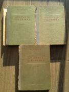 ANATOMIA CZŁOWIEKA W.Tonkow tom 1-3