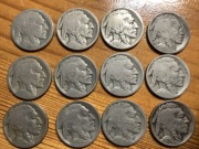 Monety USA 5 centów Buffalo 12 sztuk