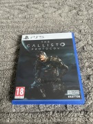 The Callisto Protocol PL bdb PS5