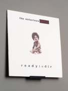 Półka na płyty winylowe LP – uchwyt ścienny / ekspozytor winyli