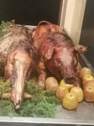 DZIK lub PROSIAK PIECZONY 