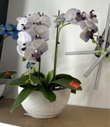 Storczyk sztuczny doniczka