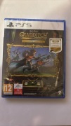 Harry Potter Mistrzowie Quidditcha Edycja Deluxe Gra PS5