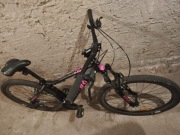 ROWER treningowy STORM  Shark 