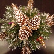 Kompozycja świąteczne. Do dekoracje świątecznej. 