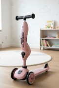 Hulajnoga Jeździk Scoot&Ride