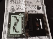 Cosey Mueller – Interior Escapes