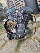 Silnik tiger 1200 2012r. 