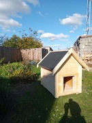 Buda dla psa średniego