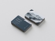 Wizytówki | Karty plastikowe PVC | Projekt + Druk | 250 szt.