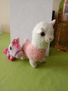 Małe miśki.  Maskotka