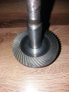 Koło zębate z wałkiem szlifierka taśmowa Celma 