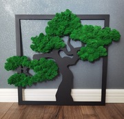 Obraz drzewko bonsai 50cm z mchem chrobotkiem