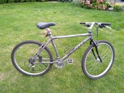 Rower górski Wheeler 3900