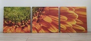 Obraz na płótnie tryptyk pomarańczowy kwiat