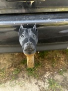 Nakładka na hak holowniczy - Głowa Pit Bulla