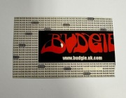 Bilet z koncertu BUDGIE w Polsce Listopad 2008 nr2