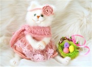 Biały kotek w sukience 