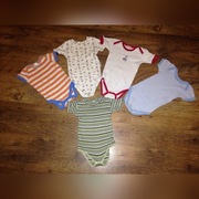 Zestaw 4 szt body z kr.rękawem r.74/80+gratis (14)