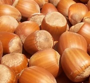 Orzechy laskowe nie łuskane 500g