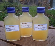 OKSYMEL DYNIA-POMARAŃCZA (100 ml) - W NASZEJ SPIŻARNI