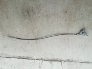 Linka cięgna gazu 74604406 MTD Bolens 175/107T 746-04406